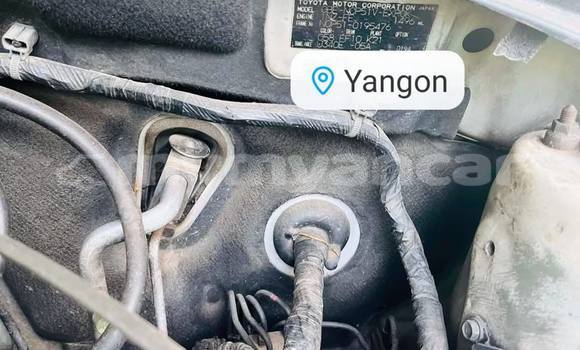 Buy Used Toyota Probox White Car in Chauk in Magway Buy Used Toyota Probox White Car in Chauk in Magway