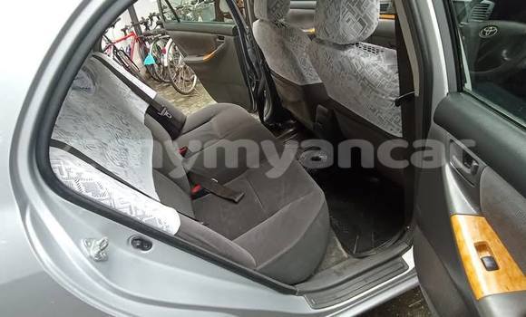 Buy Used Toyota Corolla Other Car in Allanmyo in Magway Buy Used Toyota Corolla Other Car in Allanmyo in Magway