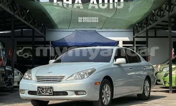 Buy Used Toyota Windom Other Car in Dawei in Tanintharyi Buy Used Toyota Windom Other Car in Dawei in Tanintharyi