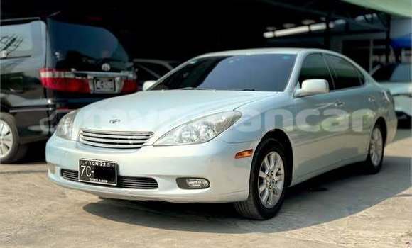 Buy Used Toyota Windom Other Car in Dawei in Tanintharyi Buy Used Toyota Windom Other Car in Dawei in Tanintharyi