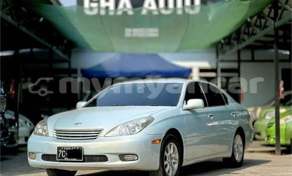 Buy Used Toyota Windom Other Car in Dawei in Tanintharyi Buy Used Toyota Windom Other Car in Dawei in Tanintharyi