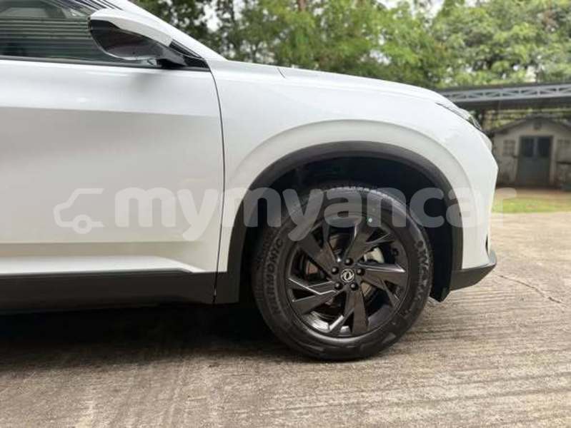 Big with watermark dongfeng s30 mandalay mandalay 5235