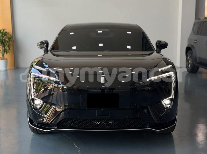 Big with watermark avtokam 2163 kachin banmo 5256