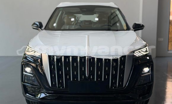 Buy Used Holden Calais Black Car in Chauk in Magway
