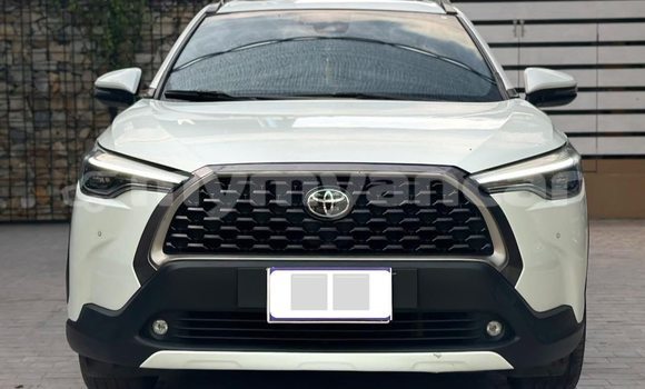 Buy Used Toyota Corolla Cross White Car in Chauk in Magway Buy Used Toyota Corolla Cross White Car in Chauk in Magway
