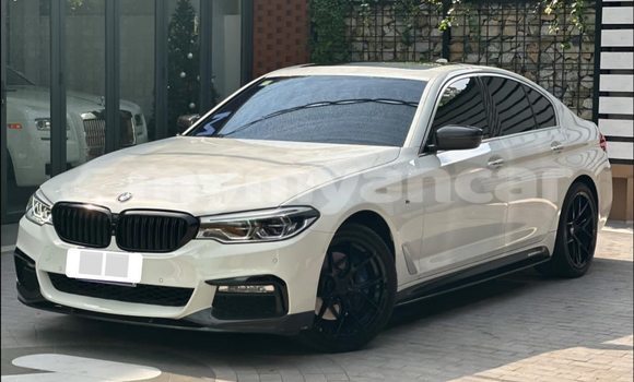 Buy Used BMW 502 White Car in Bogale in Ayeyarwady