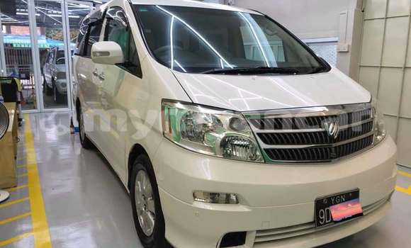Buy Used Toyota Alphard White Car in Banmo in Kachin Buy Used Toyota Alphard White Car in Banmo in Kachin