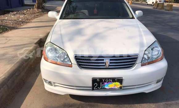 Buy Used Toyota Mark II White Car in Dawei in Tanintharyi