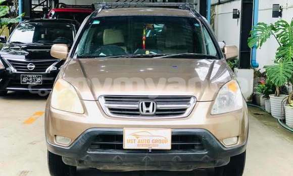 Buy Used Honda CR–V Other Car in Dawei in Tanintharyi