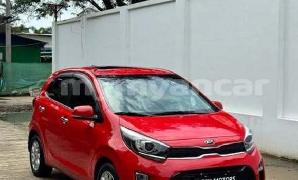 Buy Used Kia Picanto Other Car in Dawei in Tanintharyi