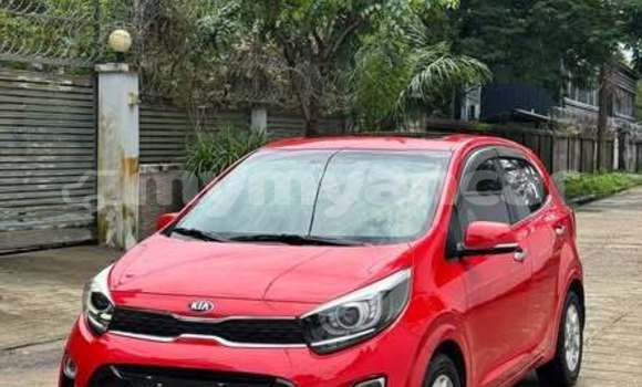 Buy Used Kia Picanto Other Car in Dawei in Tanintharyi Buy Used Kia Picanto Other Car in Dawei in Tanintharyi