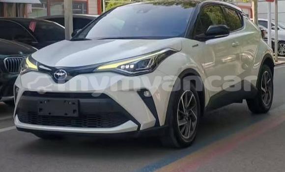 Buy Used Toyota C-HR White Car in Dawei in Tanintharyi