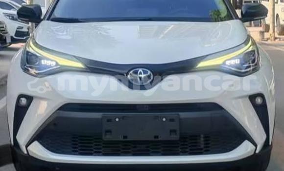 Buy Used Toyota C-HR White Car in Dawei in Tanintharyi Buy Used Toyota C-HR White Car in Dawei in Tanintharyi