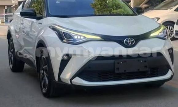Buy Used Toyota C-HR White Car in Dawei in Tanintharyi Buy Used Toyota C-HR White Car in Dawei in Tanintharyi