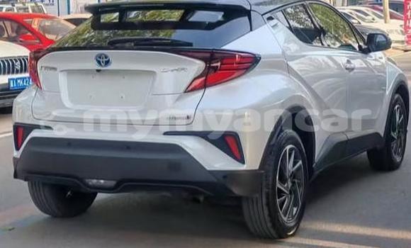 Buy Used Toyota C-HR White Car in Dawei in Tanintharyi Buy Used Toyota C-HR White Car in Dawei in Tanintharyi