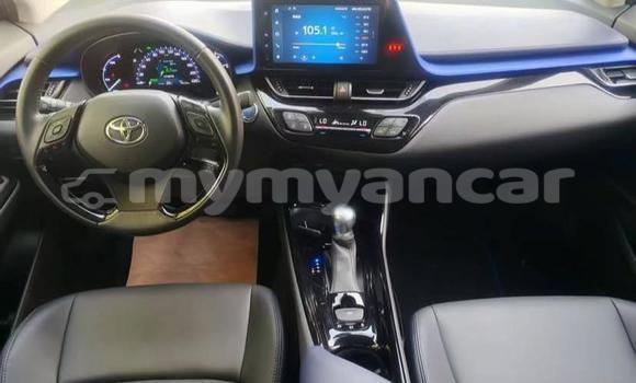 Buy Used Toyota C-HR White Car in Dawei in Tanintharyi Buy Used Toyota C-HR White Car in Dawei in Tanintharyi