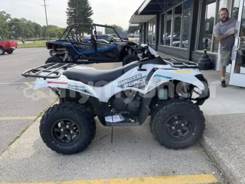 Big with watermark kawasaki brute force ayeyarwady import dubai 5399