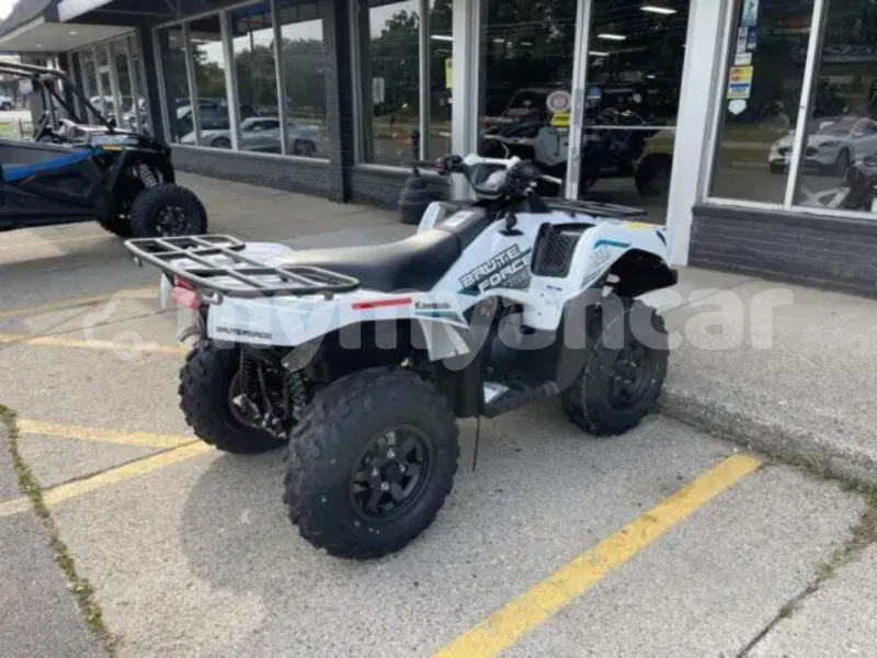 Big with watermark kawasaki brute force ayeyarwady import dubai 5399