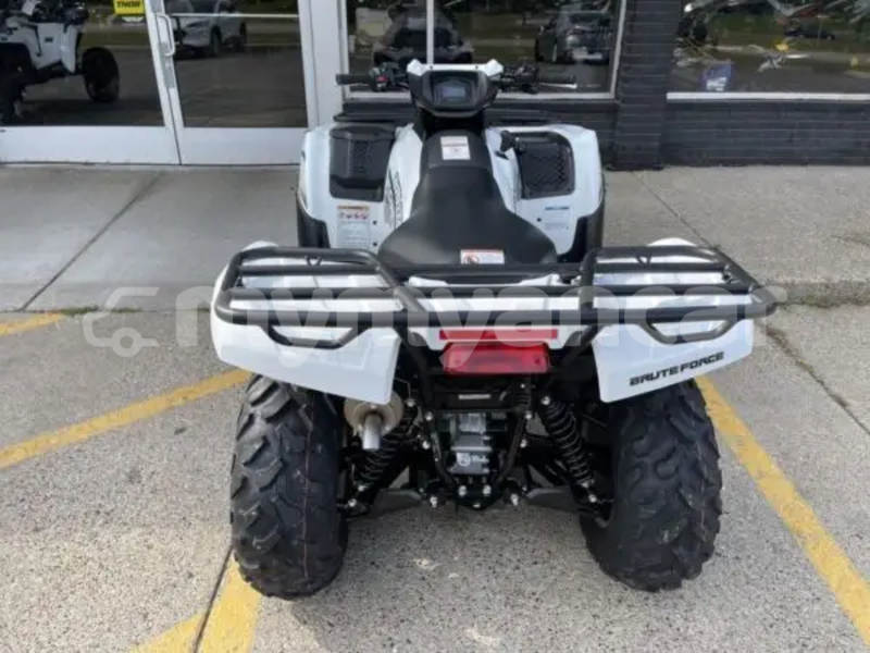 Big with watermark kawasaki brute force ayeyarwady import dubai 5399