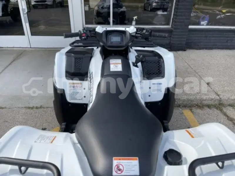 Big with watermark kawasaki brute force ayeyarwady import dubai 5399