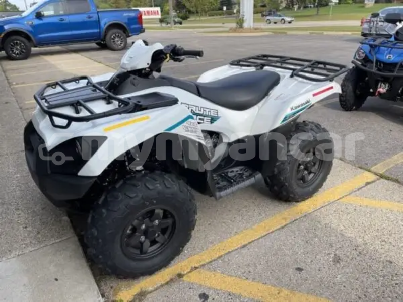 Big with watermark kawasaki brute force ayeyarwady import dubai 5399