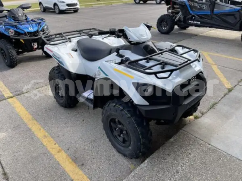 Big with watermark kawasaki brute force ayeyarwady import dubai 5399