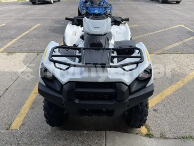 Big with watermark kawasaki brute force ayeyarwady import dubai 5399