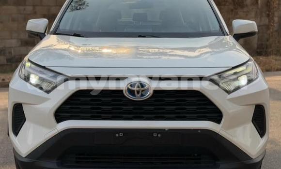 Buy Used Toyota RAV4 White Car in Dawei in Tanintharyi