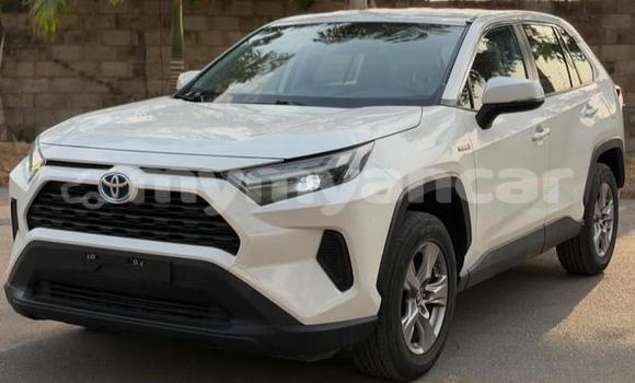 Buy Used Toyota RAV4 White Car in Dawei in Tanintharyi Buy Used Toyota RAV4 White Car in Dawei in Tanintharyi