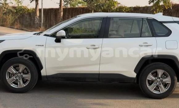 Buy Used Toyota RAV4 White Car in Dawei in Tanintharyi Buy Used Toyota RAV4 White Car in Dawei in Tanintharyi