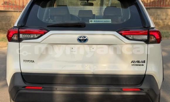 Buy Used Toyota RAV4 White Car in Dawei in Tanintharyi Buy Used Toyota RAV4 White Car in Dawei in Tanintharyi
