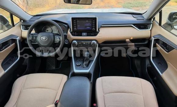 Buy Used Toyota RAV4 White Car in Dawei in Tanintharyi Buy Used Toyota RAV4 White Car in Dawei in Tanintharyi