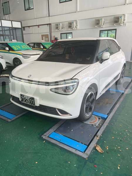 Big with watermark nash ambassador magway allanmyo 5407