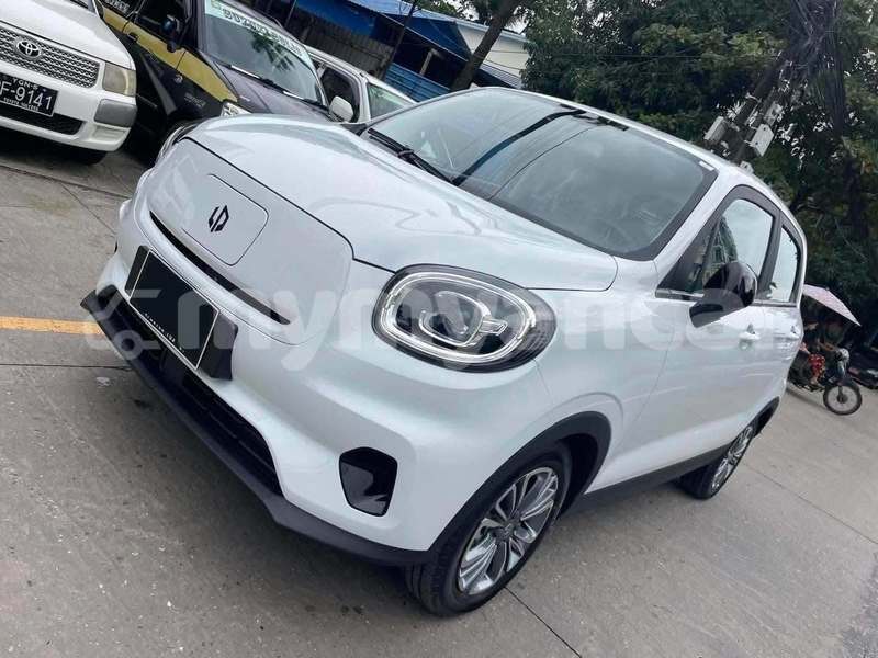 Big with watermark lada niva ayeyarwady bogale 5428
