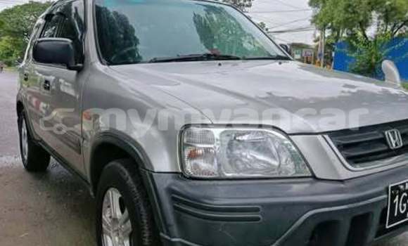 အသုံးပြုခံ့ Honda Crosstour Other ကား Banmo Kachin အသုံးပြုခံ့ Honda Crosstour Other ကား Banmo Kachin