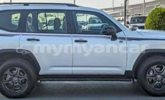 အသုံးပြုခံ့ Toyota Land Cruiser White ကား Dawei Tanintharyi အသုံးပြုခံ့ Toyota Land Cruiser White ကား Dawei Tanintharyi