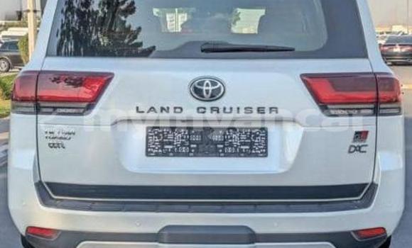 အသုံးပြုခံ့ Toyota Land Cruiser White ကား Dawei Tanintharyi အသုံးပြုခံ့ Toyota Land Cruiser White ကား Dawei Tanintharyi