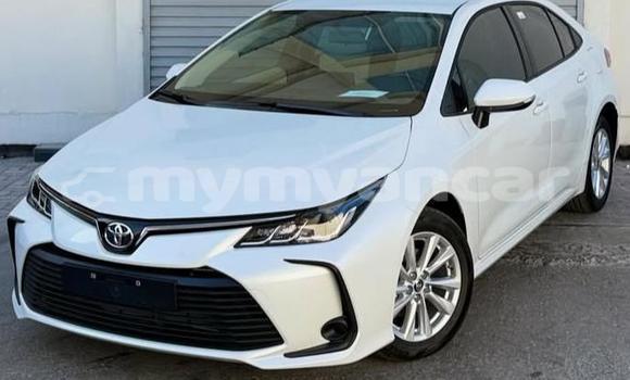 Buy Used Toyota Corolla White Car in Dawei in Tanintharyi