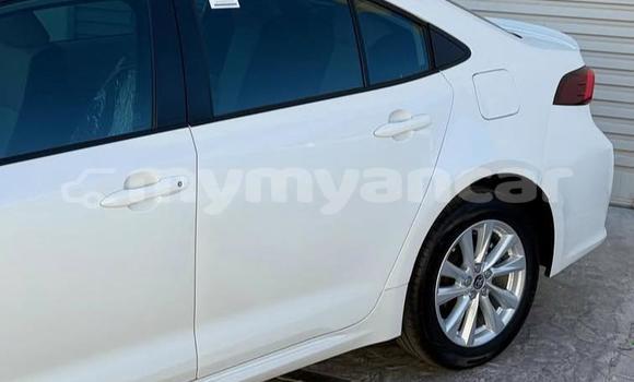 အသုံးပြုခံ့ Toyota Corolla White ကား Dawei Tanintharyi အသုံးပြုခံ့ Toyota Corolla White ကား Dawei Tanintharyi