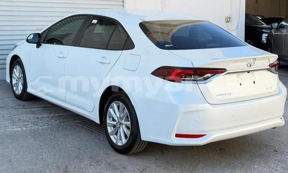 အသုံးပြုခံ့ Toyota Corolla White ကား Dawei Tanintharyi အသုံးပြုခံ့ Toyota Corolla White ကား Dawei Tanintharyi