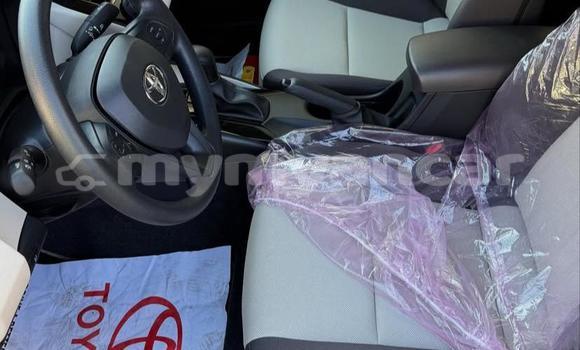 အသုံးပြုခံ့ Toyota Corolla White ကား Dawei Tanintharyi အသုံးပြုခံ့ Toyota Corolla White ကား Dawei Tanintharyi