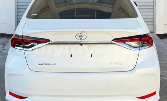 အသုံးပြုခံ့ Toyota Corolla White ကား Dawei Tanintharyi အသုံးပြုခံ့ Toyota Corolla White ကား Dawei Tanintharyi
