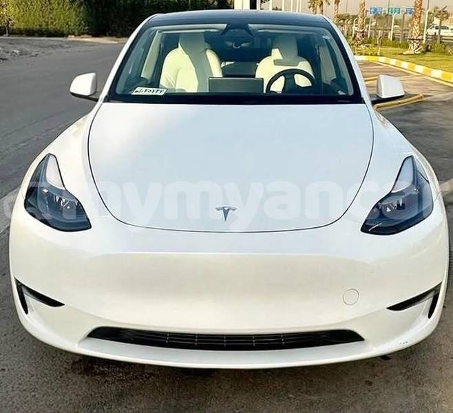 Big with watermark tesla model x tanintharyi dawei 5462