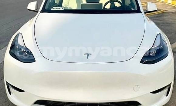 Buy Used Tesla Model X White Car in Dawei in Tanintharyi