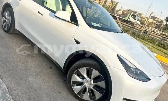 အသုံးပြုခံ့ Tesla Model X White ကား Dawei Tanintharyi အသုံးပြုခံ့ Tesla Model X White ကား Dawei Tanintharyi