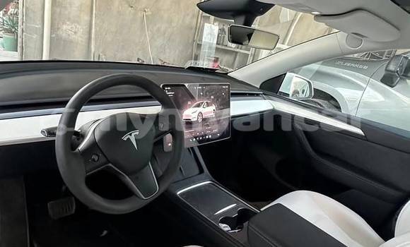 အသုံးပြုခံ့ Tesla Model X White ကား Dawei Tanintharyi အသုံးပြုခံ့ Tesla Model X White ကား Dawei Tanintharyi