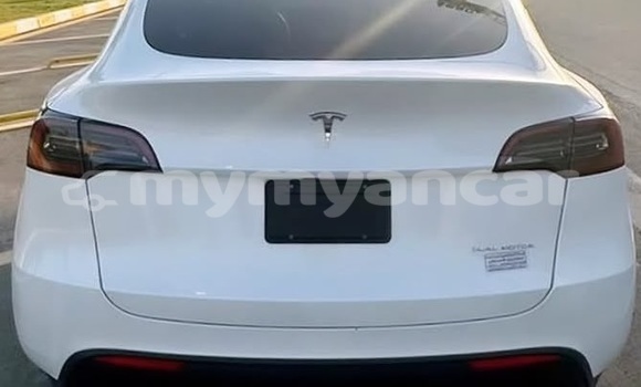 အသုံးပြုခံ့ Tesla Model X White ကား Dawei Tanintharyi အသုံးပြုခံ့ Tesla Model X White ကား Dawei Tanintharyi