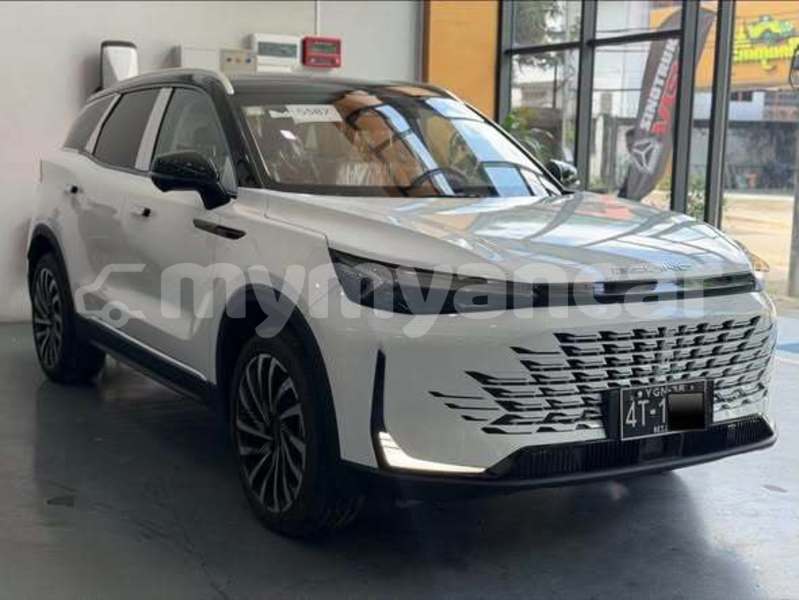 Big with watermark beijing bj2020 tanintharyi dawei 5482