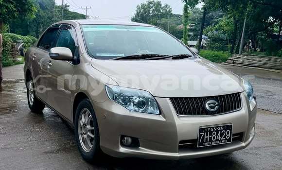 Buy Used Toyota Corolla Other Car in Chauk in Magway