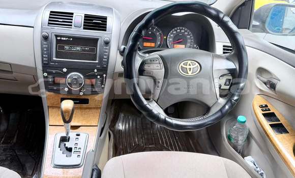Buy Used Toyota Corolla Other Car in Chauk in Magway Buy Used Toyota Corolla Other Car in Chauk in Magway